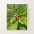 Recherche de coccinelle puzzles Plante