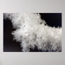 Suche nach macro poster Makro