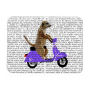 Suche nach moped magnete Meerkat