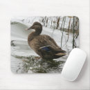 Recherche de humide tapis souris Surf