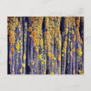 Recherche de nature design cartes postales Coloré