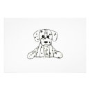 Recherche de animaux portraits Animal