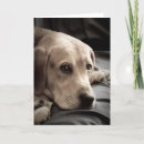 Suche nach trauriger hund karten Vermissen