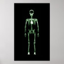 Recherche de crânien art Horreur