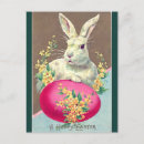 Suche nach weißer hase postkarten Begrüßung