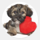 Recherche de attrayant autocollants Animaux