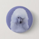 Recherche de de caniche standard badges Dog