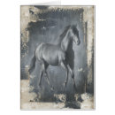 Suche nach stallion postkarten Reiten