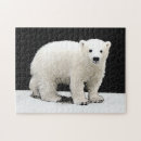 Recherche de polaire puzzles Neige