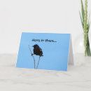Suche nach amsel karten Fotografie