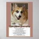 Suche nach agility poster Haustiere