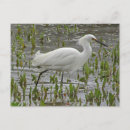 Recherche de héron cartes postales Encouragement