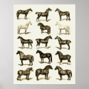 Suche nach kartendruck poster Vintag