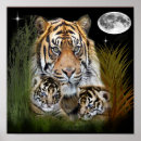 Suche nach tigerplakat Katzen