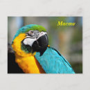 Recherche de bavard cartes postales Oiseau