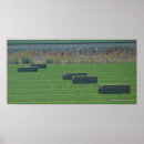 Suche nach feld fotodruck Fotografie