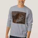 Recherche de divan Beagle