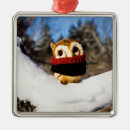 Suche nach vintage eule ornamente Natur