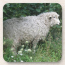 Suche nach sheep untersetzer Lustig