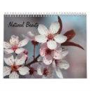 Suche nach schönheit kalender Blume