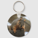 Recherche de écureuil mignon porteclés Arbre