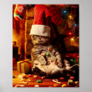 Recherche de stockage posters Chat