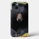 Recherche de ursus coques Faune