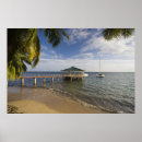 Suche nach isländer andere poster Seychellen