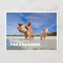 Recherche de exuma posters Vintage