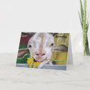 Suche nach spa karten Liebe