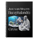 Suche nach zen notizbuch Meditation