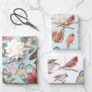 Recherche de oiseau cardinal papier cadeau Poinsettia