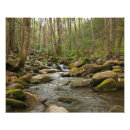 Recherche de ruisseau art Crique