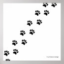 Recherche de paw posters Patte