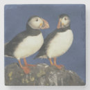 Suche nach schnabel untersetzer Tierwelt