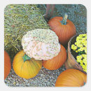 Recherche de foin autocollants Citrouilles
