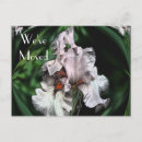 Recherche de barbu invitations Fleur