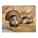 Suche nach truthahn kalender Vogel