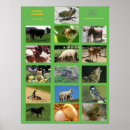 Recherche de farm animals posters Pour tous