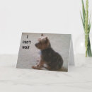 Suche nach yorkie geburtstag karten Fotografie