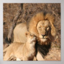 Recherche de copie de grand chat posters Lion
