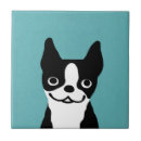 Recherche de boston carreaux Chien
