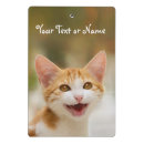 Suche nach funny klemmbrett Katze