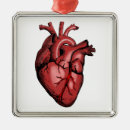 Suche nach anatomisch ornamente Anatomie