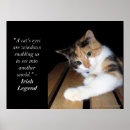 Suche nach katzenaugen poster Kätzchen