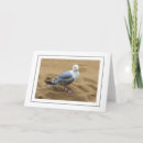 Suche nach sandstrand karten Meer