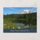 Suche nach der mount rainier Nationalpark