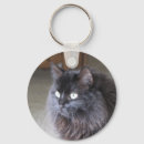 Recherche de chat de ragdoll porteclés Chats