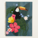 Recherche de oiseaux bureau fournitures Jungle