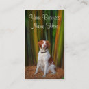 Recherche de la bretagne cartes visite Affaires